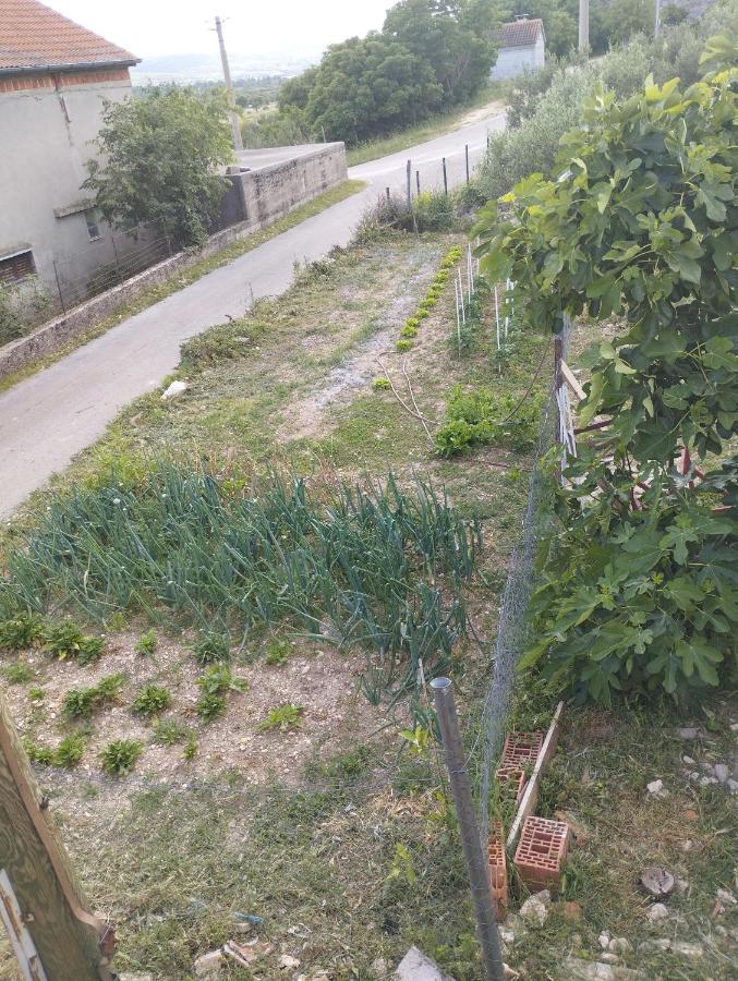 Misljen Apartmants 扎达尔 外观 照片